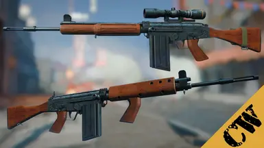 Infantry Battle Rifle (T48 and FAL) CN TRANSLATION