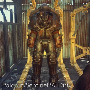 Paladin Sentinel A Dirty