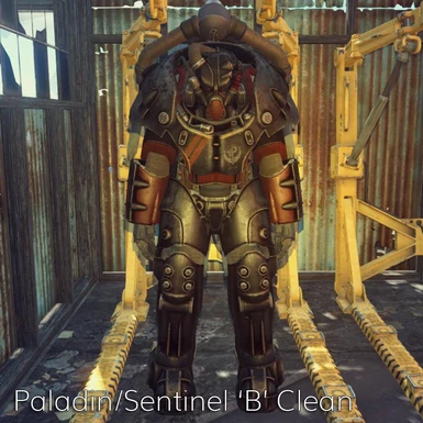 Paladin Sentinel B Clean