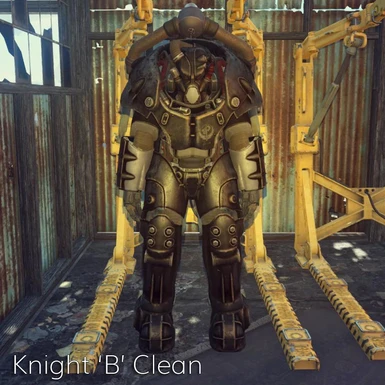 Knight B Clean