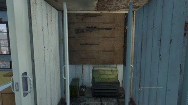 player home utility (guns) closet