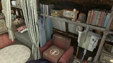 removed the couch; added a comfy chair and a CWSS toilet, as well as plenty of reading material