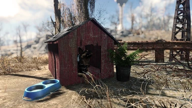 Dogmeat gets his own decor too