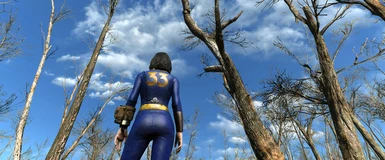 Lucy's Simple Vault 33 Suit with custom color and specular texture also available on Nexusmods ;)