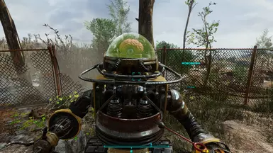 comparison in first person