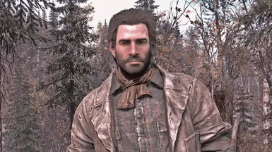 Arthur Morgan Preset at Fallout 4 Nexus - Mods and community