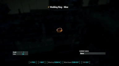Wedding Ring - Mine (inspect inside Pipboy)