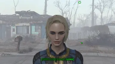 Classic Beauty Evelyn at Fallout 4 Nexus - Mods and community