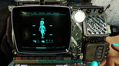 WS Pipboy (custom diffuse texture with CRT lines)