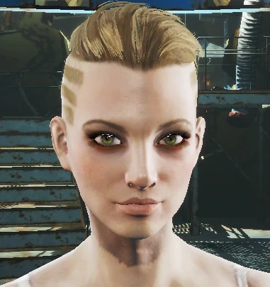 Eye Normal Map Fix Fallout 4 Edition
