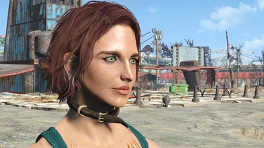 Eye Normal Map Fix Fallout 4 Edition at Fallout 4 Nexus - Mods and ...