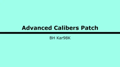 Munitions Advanced Calibers Patch - Kar98K