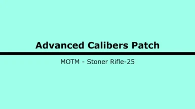 Munitions Advanced Calibers Patch - Stoner Rifle-25