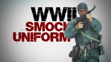WWII - German Smock Uniform Chinese translation