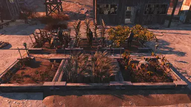 Box Gardens - Carrots, Corn, Mutfruit, Razorgrain, Siltbean and Tatos LvL 3