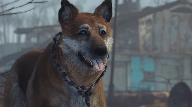 Mutt Dogmeat with Jesters textures