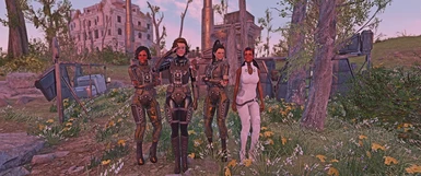 Enclave and Gunner female faces replacement and preset