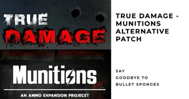 (Say Goodbye to Bullet Sponges) True Damage - Munitions Alternative Patch