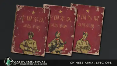 Chinese Army: Spec Ops