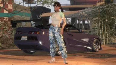 No Enb or Reshade