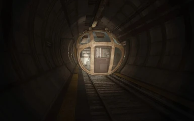 Subway Runner - Revival - NPC Addon