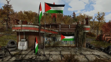 State of Palestinian Flag