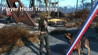 Traduction FR de Player Head Tracking