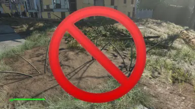 No more dead shrub!