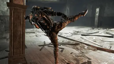 Roundhouse Kick 1