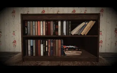 Custom book cases
