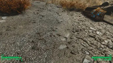 Shell Rain!