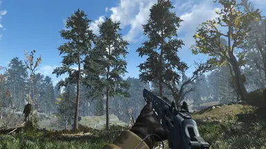 First Person View