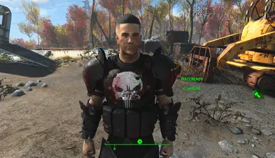 FRANK CASTLE (THE PUNIHER) AS MACCREADY