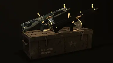 AA-12 SHOTGUN CN TRANSLATION