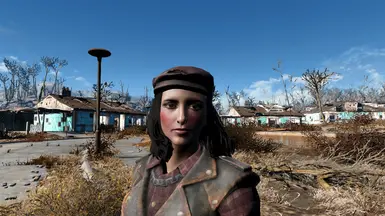 Majestic follower overhaul at Fallout 4 Nexus - Mods and community