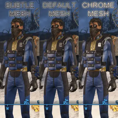 NVS Mesh Options