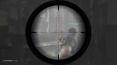 Modern Rangefinder 50% Faded