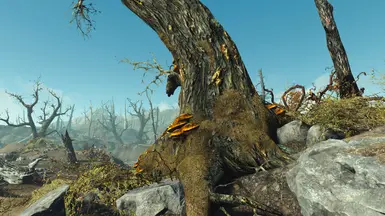 with Lootable Blight Tree Flora Expansion from Qrsr