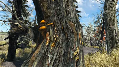 with Lootable Blight Tree Flora Expansion from Qrsr