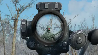 Long Scope STS