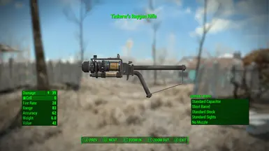 Standard Stock