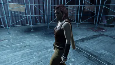 Standalone with female animations (baseball bat is visible because of Classic Holstered Weapons System (CHW))