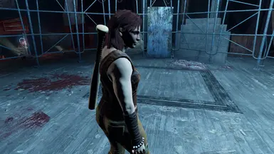 Standalone with female animations (baseball bat is visible because of Classic Holstered Weapons System (CHW))
