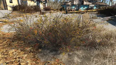 vanilla