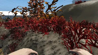 vanilla