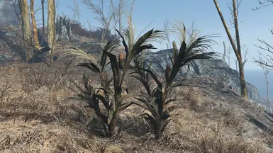 vanilla