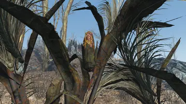 vanilla