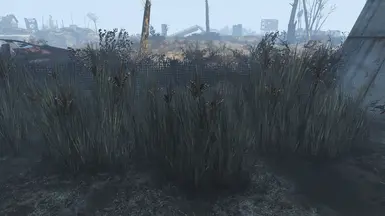 vanilla