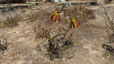 vanilla
