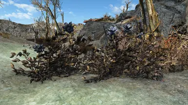 vanilla